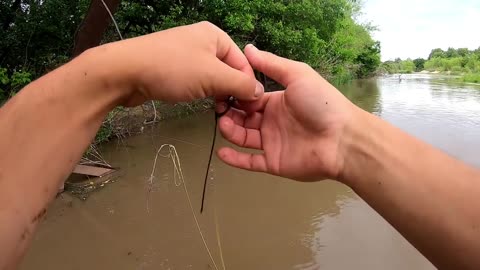 Primitive Limb Line River Fishing!! (Catch Clean Cook)