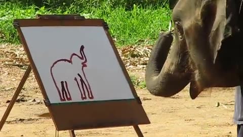 f#Suda:The painting elephant#