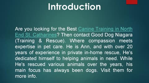 Best Canine Training in North End St. Catharines