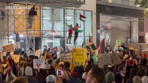 Palestinian Protesters Flood New York City