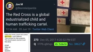 The Red Cross is a global industrialized child & human trafficking cartel.