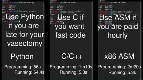 LEARN TO EARN | Python vs C/C++ vs Assembly side-by-side comparison