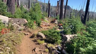 Central Oregon - Mount Jefferson Wilderness - Crossing Rocky Creek Bed to Wasco Lake