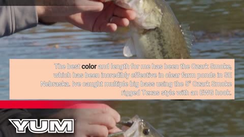 Buyer Reviews: Yum Lures Dinger