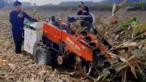 Technician Corn Harvester New Agricultural