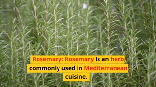 Rosemary