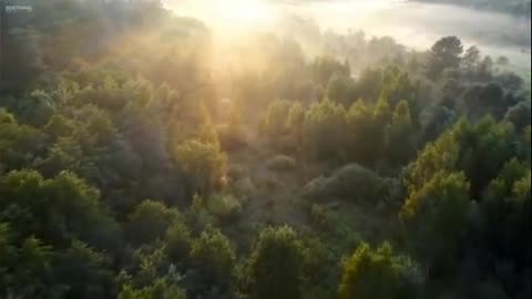 Všechno je jen slovo a myšlenka.