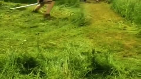 Grass cutting master