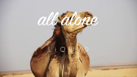 LiQWYD - All alone
