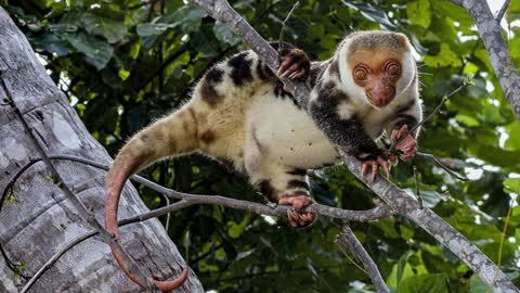 Lorentz National Park, the largest and most comprehensive conservation area in Asia Pacific