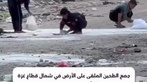 Palestinian children gather flour from the ground amid food shortage