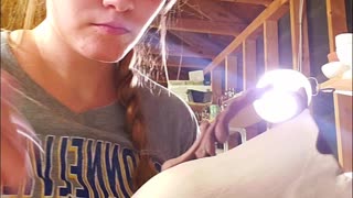 Carving a Pitcher Time-lapse