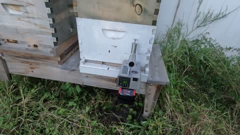 LorobBees Hive Mite Treatment with the Instavap 18V Unit Video 2 of 2