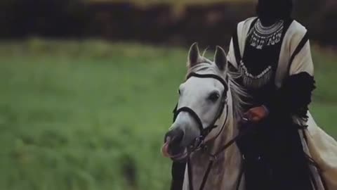 Arabic horse riding by a arabic girl