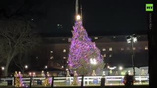 America's National Christmas Tree says 'I'm outta here'