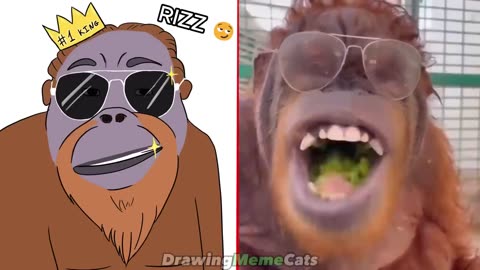 😂Cat Memes: Funniest Animals 2023😂 Funny Cats and Dogs | Cat Memes - Drawing Meme