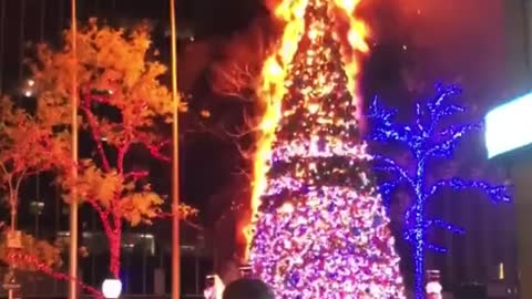 Fox News Christmas tree set on fire in Midtown Manhattan