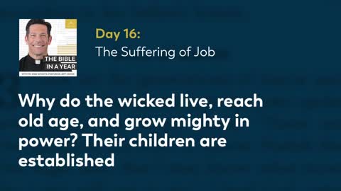 Day 16 The Suffering of Job — The Bible in a Year (with Fr. Mike Schmitz)