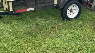 Siding trailer