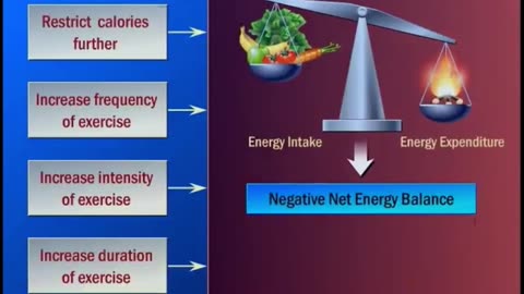 Get Fit, Not Fat: The Science of Exercise and Weight Loss | Part 06|