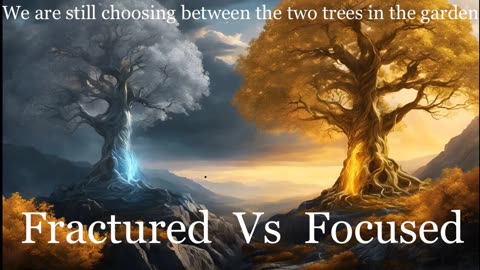 Fractured Vs Focused