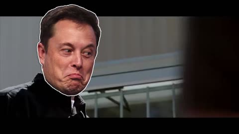 When Elon Musk Took Over Twitter
