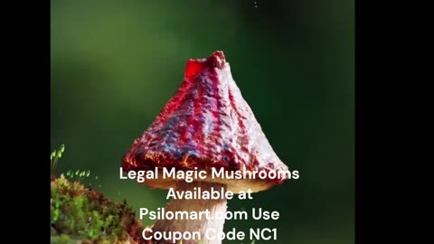 Legal Magic Mushrooms Psilomart.com