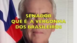 Vejam isso Brasil! Olha o que disse essa senadora