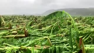 Puerto Ricans shocked at Hurricane Fiona damage