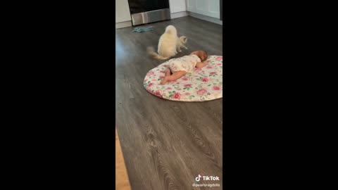 funny pet tiktok that'll make you laugh hysterically