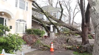FALLEN TREES: Vid Shows Homes Devastated After Storms Wreak Havoc In California