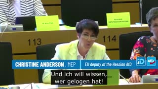 Christine Anderson MEP going for the jugular of the EU