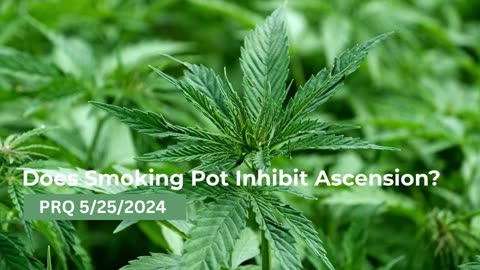 Does Smoking Pot Inhibit Ascension? 5/25/2024