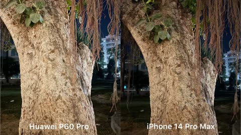 Night Mode: huawei p60 pro vs iphone 14 pro max