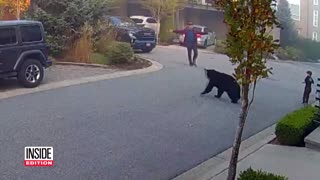 7 Year Old Encounters Massive Bear While Riding Scooter