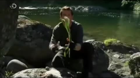 Comment pêcher une anguille grâce à une technique des Maoris #manvswild #survivaltips