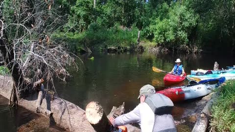 River Clearing Trip June 17 Lumber River near Laurinburg NC