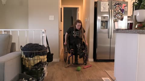 Amputee Dog Owner: Adapting to Handle My 165lbs of Dogs Alone!