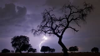⚡ Sounds of Rain and Thunder ⚡ 4 Hours - Strong Storm - Relax Rain and Thunder to Sleep Rain