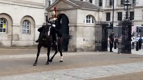 Queen’s Guard Horse Goes Crazy