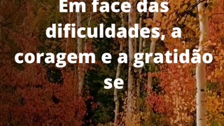 #coragemegratidão