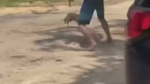 Guy attacked by rabid raccoon