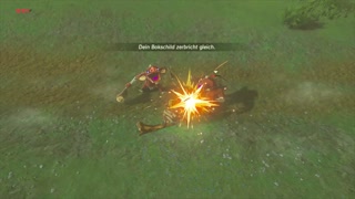 THE LEGEND OF ZELDA BREATH OF THE WILD BUGG WEAPON DISAPPEARS