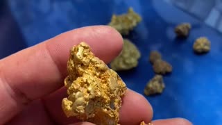 Big Gold Northern Territory Australia Metal Detecting