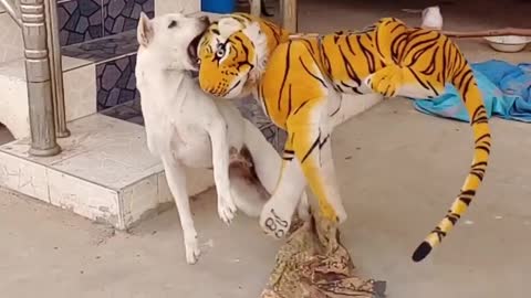prank fake tiger