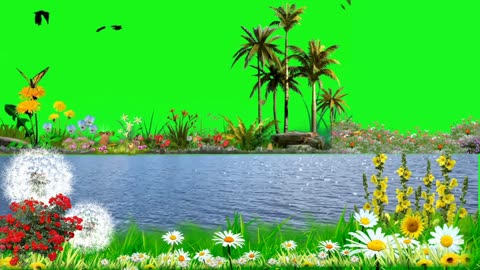 Beautiful river green screen background video | Copyright free river green screen | River video