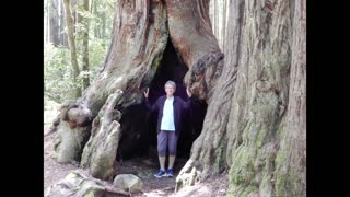 Northern California Redwoods, with Joan & Shannon