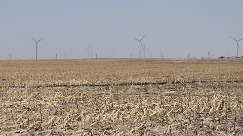 Giant on the Prairie