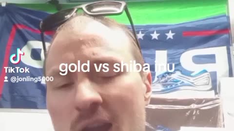 gold vs shiba inu