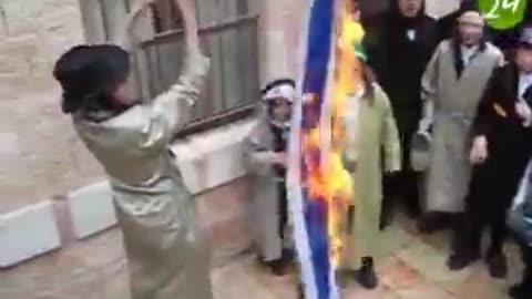 Jews burning the Israeli flag #shorts #viral #trending